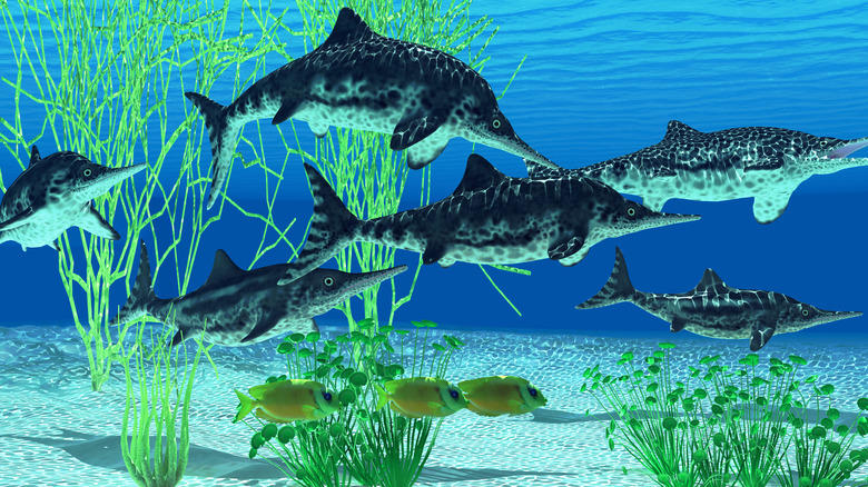 Artist's impression of extinct icthyosaur species and fish under the sea