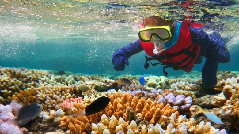 Great Barrier Reef, Australia