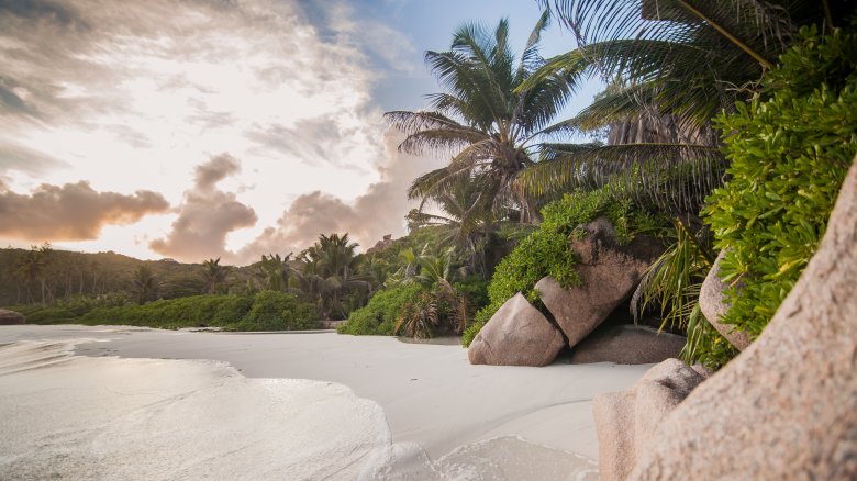 beautiful beach