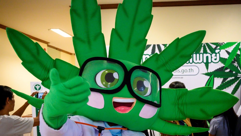 Weedy the Weed!