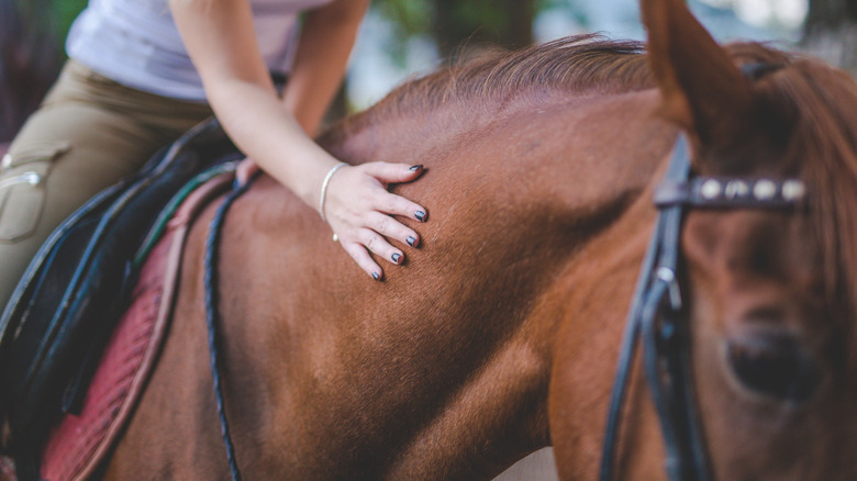 woman on a horse 