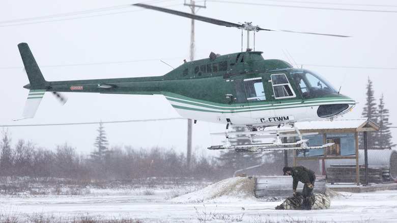 Helicopter transporting a polar bear