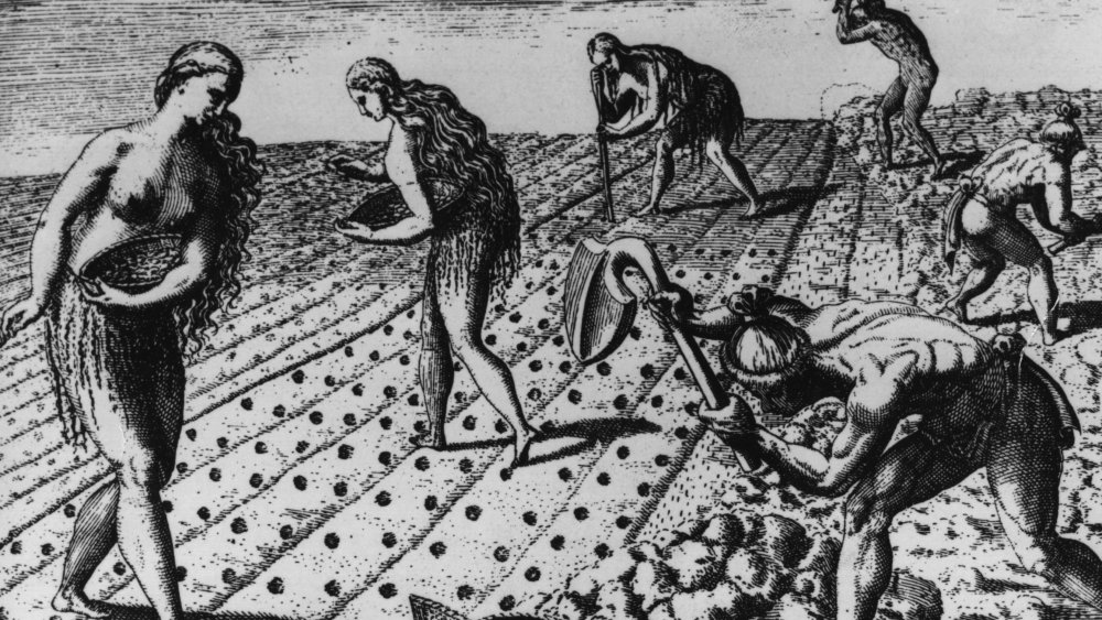 Native Americans being forced to farm