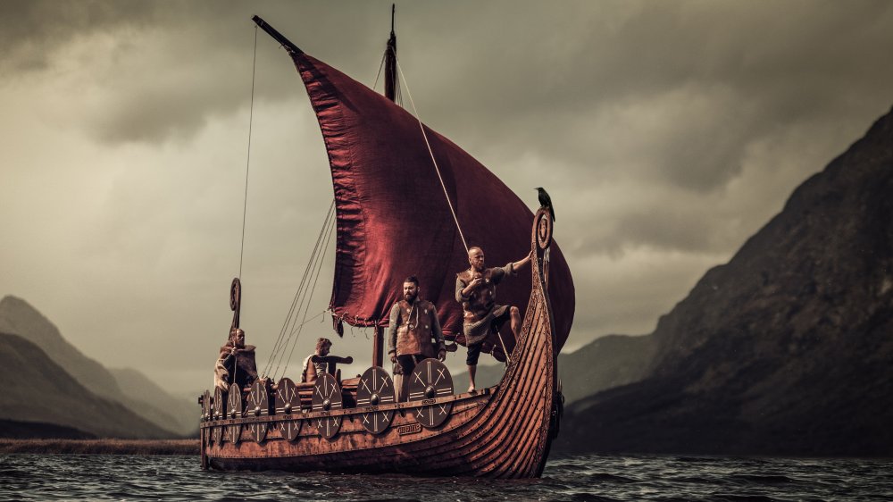 Vikings viking