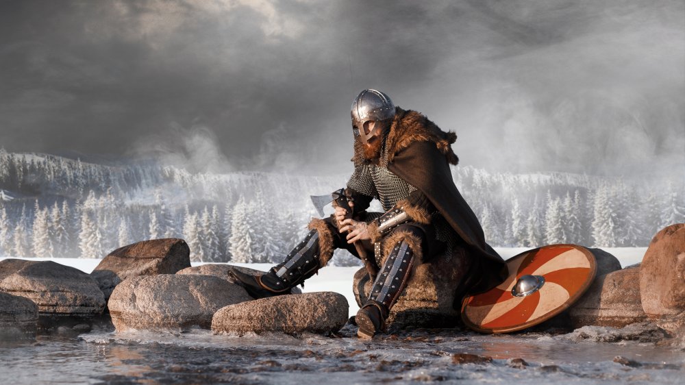 Viking perhaps calculating interest rates