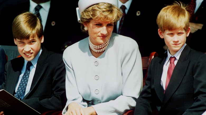 Prince William, Princess Diana, Prince Harry