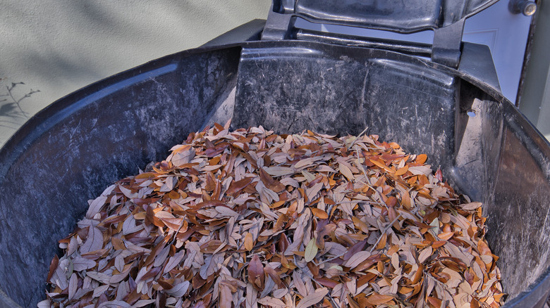 Bin filled with leaves