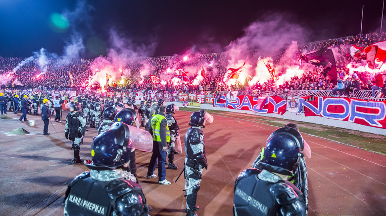 Red Star Delije