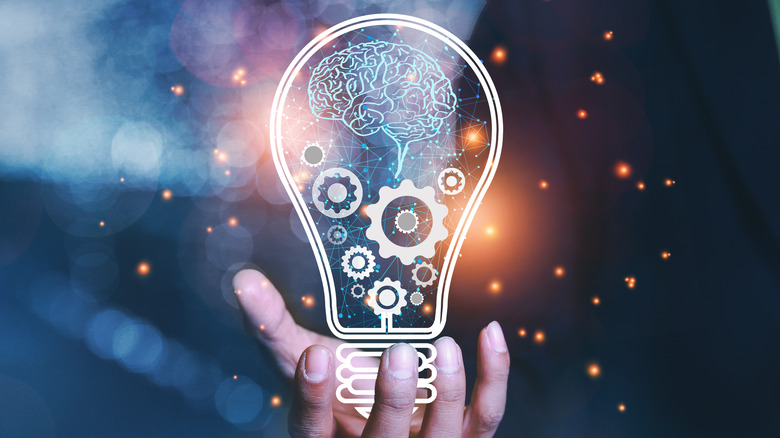 Exploring the brain