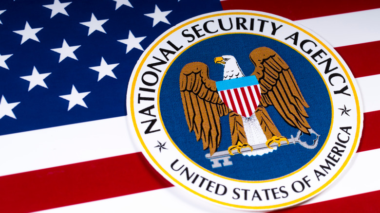 NSA logo american flag