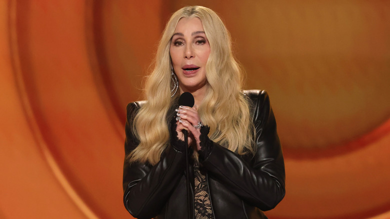 Cher singing on stage in leather jacket