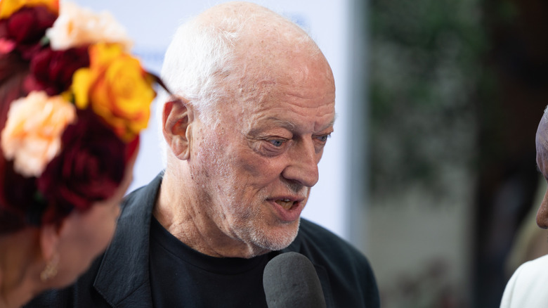 David Gilmour in 2025