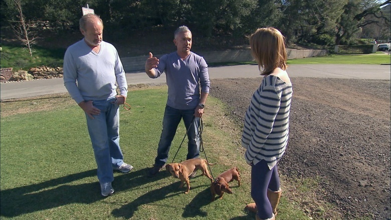 cesar milan dog whisperer