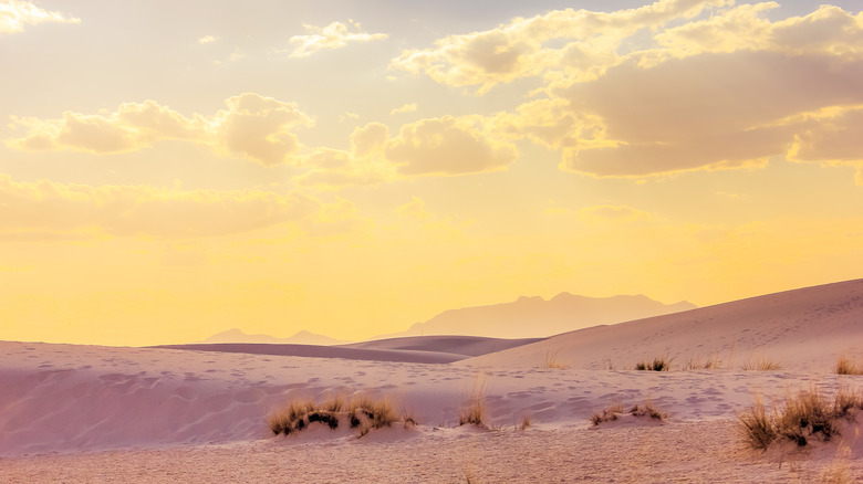 white sands national park