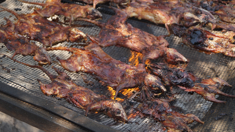 cooking rats