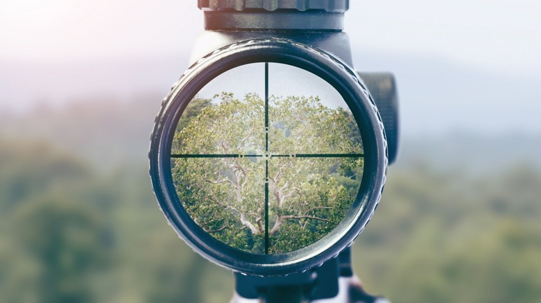 rifle target view of nature