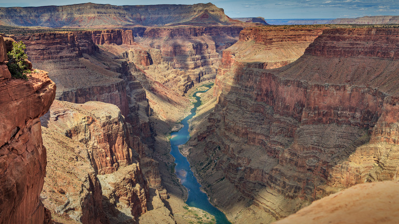 the grand canyon