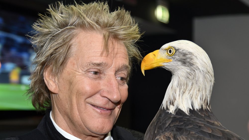 Rod Stewart, Eagle