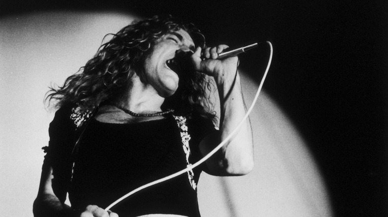 Led Zeppelin's Robert Plant posing for a photo