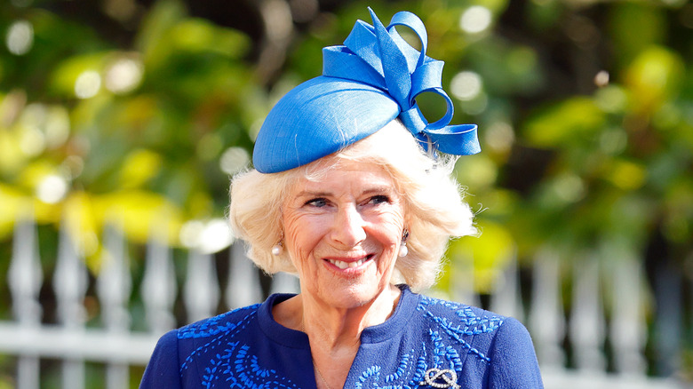 Queen Consort Camilla Shand in blue hat and blue dress 