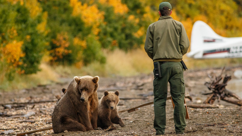 park ranger stands beside bears