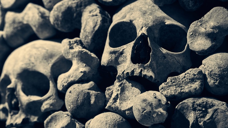 A wall of human skulls in a catacomb