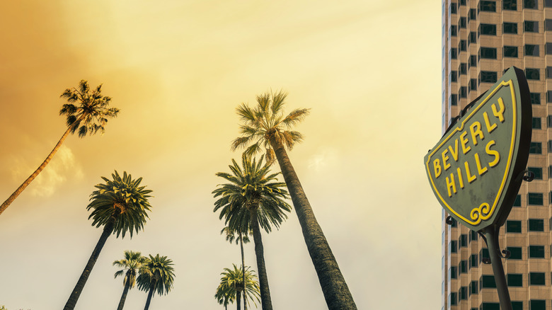 Beverly Hills sign with palm trees