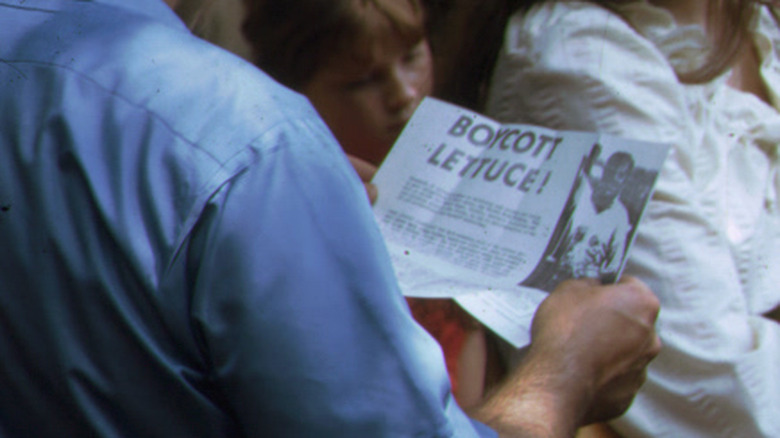 Boycott lettuce leaflet