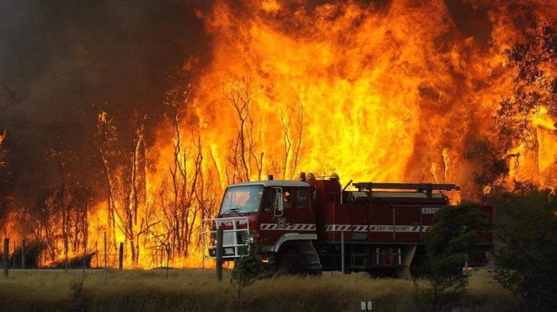 An Australian fire truck in front of a burning bush fire