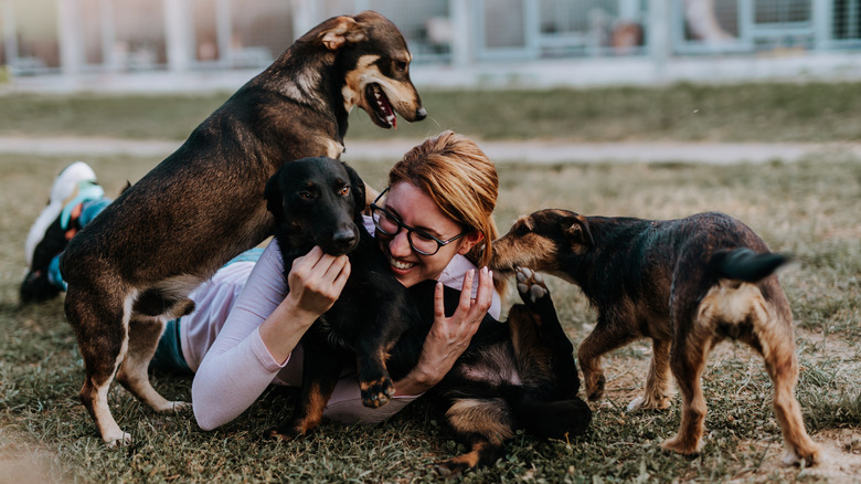 Playing with dogs 