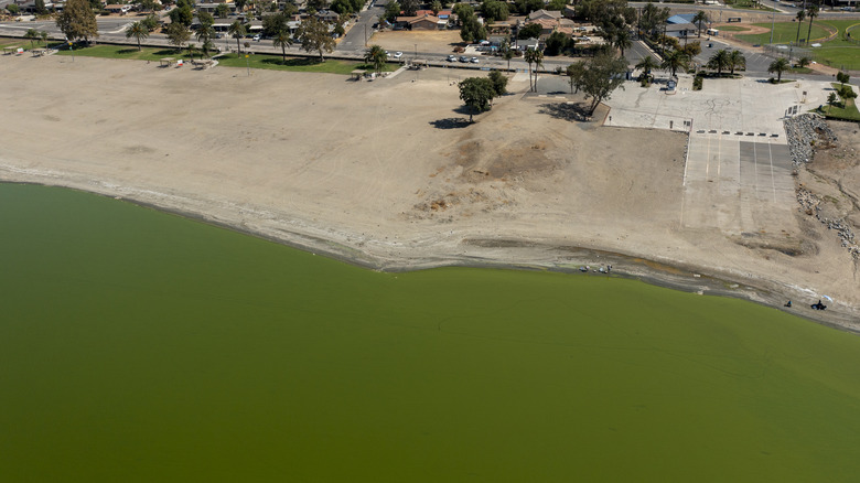 Water and beach