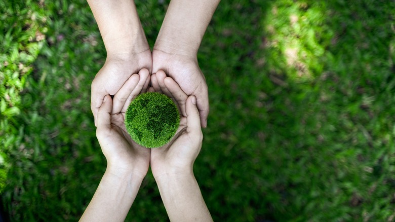 grass hands and earth