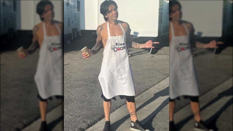 Sebastian Stan as Tommy Lee