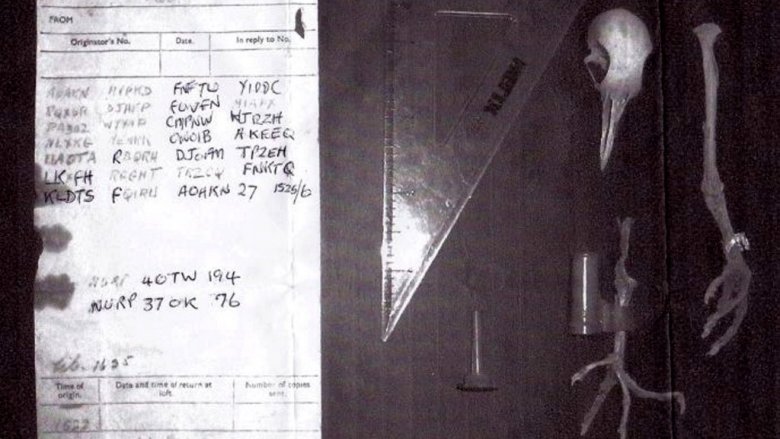 dday pigeon code