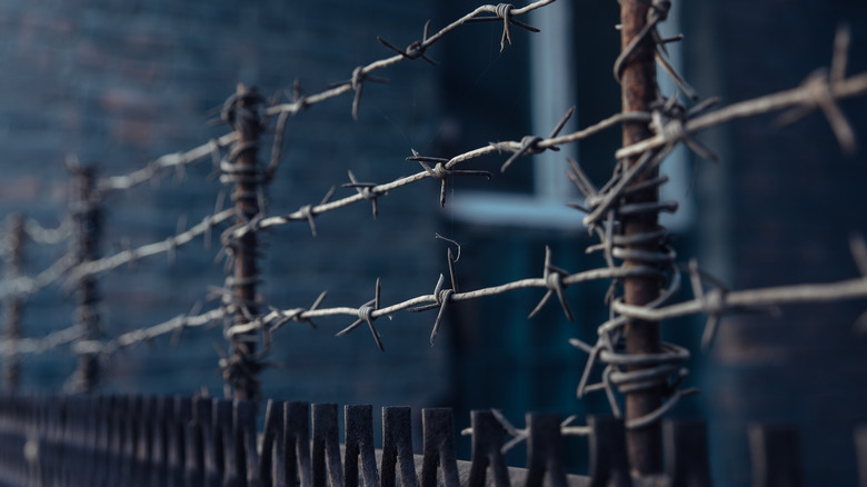 Barbed wire