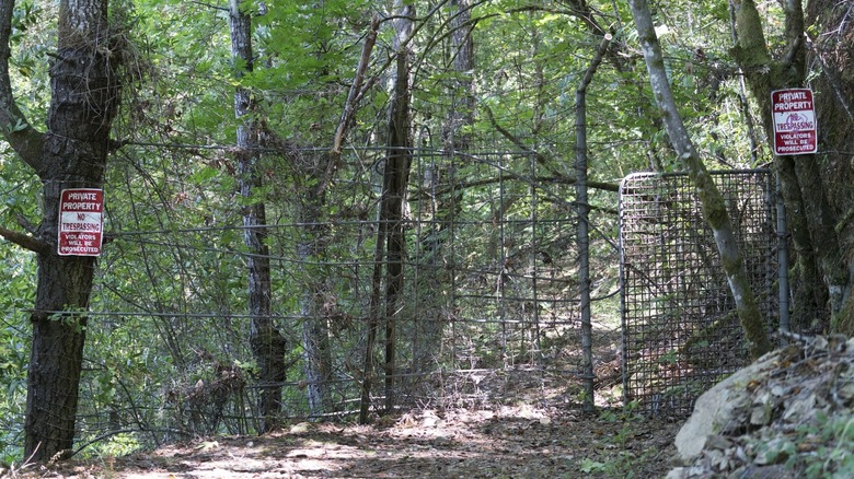 Bohemian Grove side entrance