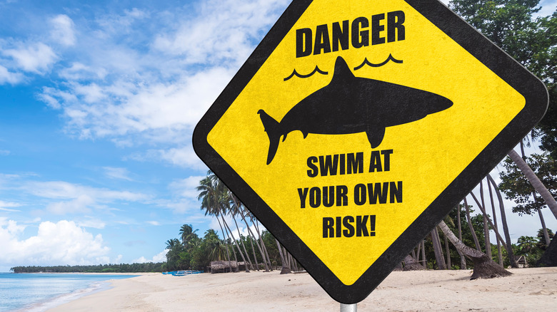 Shark attack sign