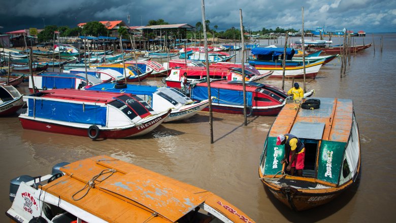 boats in marina