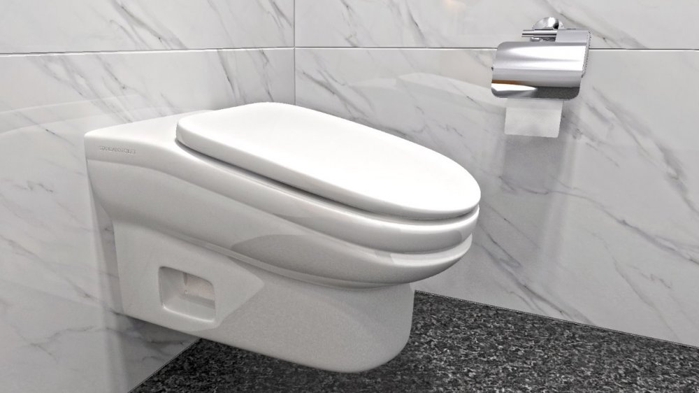 Sloping toilet