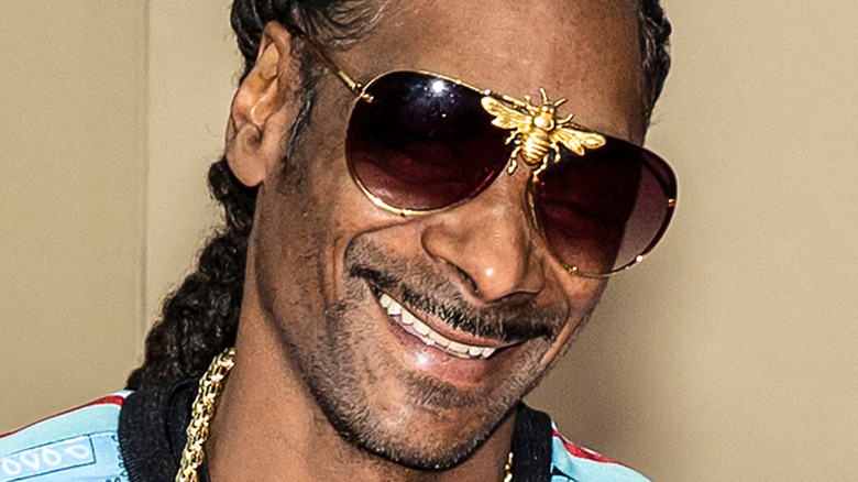 Snoop Dogg smiling with bee glasses
