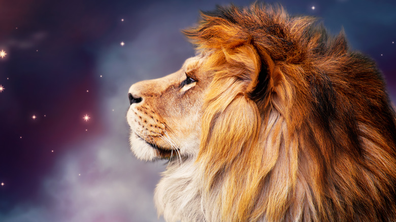 Lion, zodiac sign for Leo