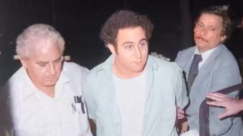 David Berkowitz in custody