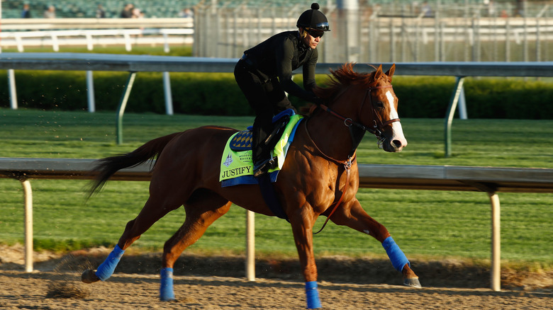 Jockey rides Justify