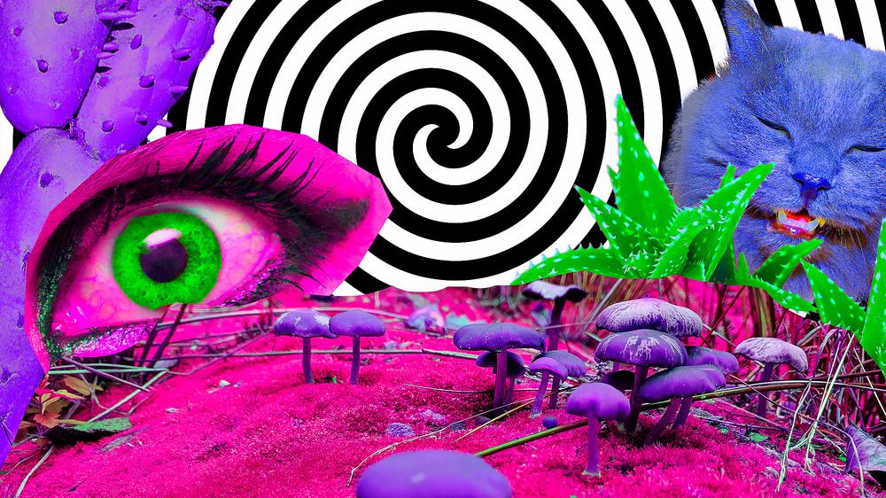 tripping LSD psychadelic