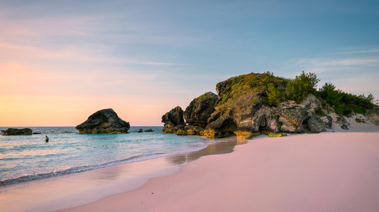 beach in Bermuda