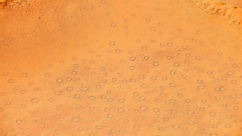 Aerial view of Fairy circles within Namib-Naukluft National Park 