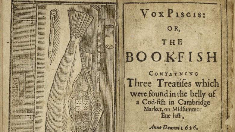 vox piscis bookfish