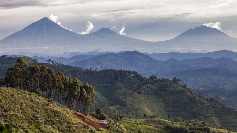 Rwanda landscape
