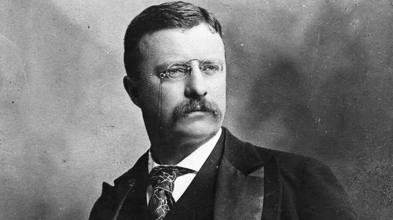 Teddy Roosevelt looks left