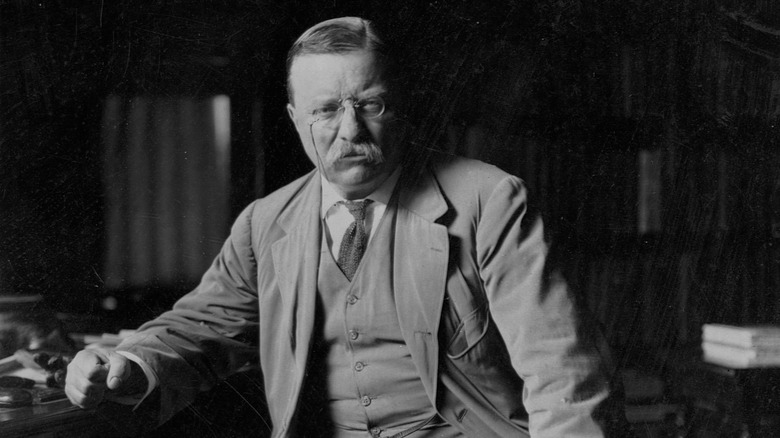 Teddy Roosevelt leans on bar